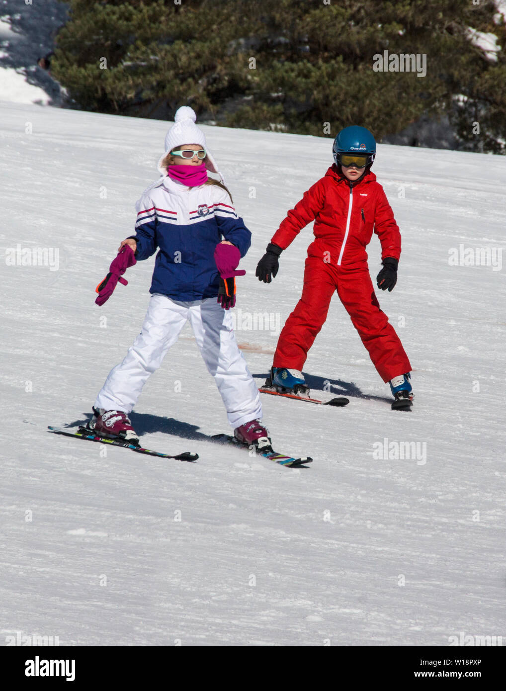 The central Pyrenees at Pont Espagne. Young children learning to ski on the beginners slope.No sticks. Stock Photo