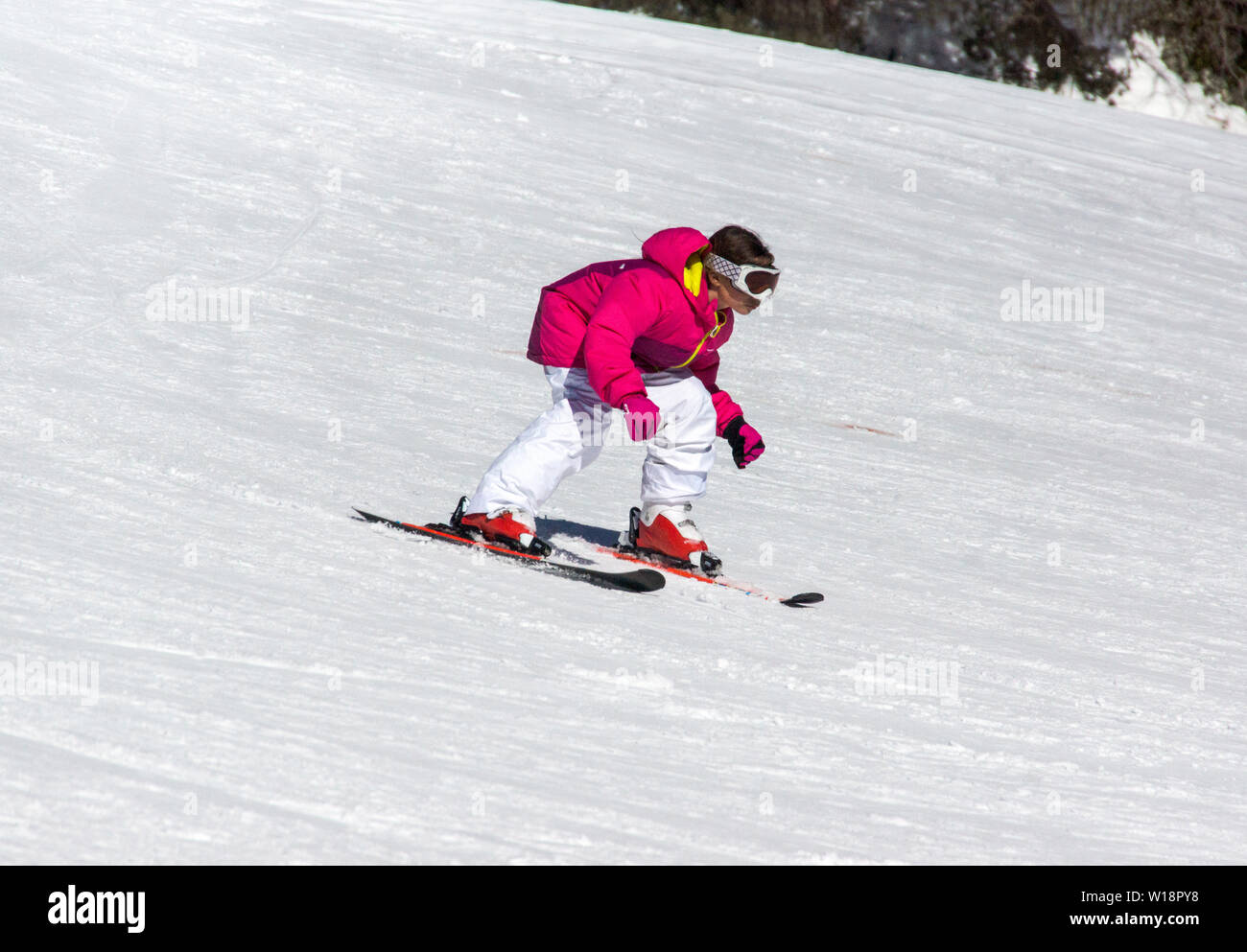 The central Pyrenees at Pont Espagne. Young boy learning to ski on the beginners slope.No sticks. Stock Photo