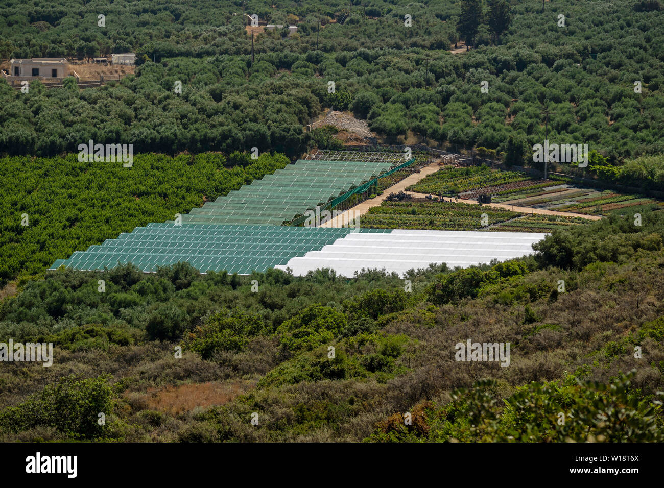 Malia, Crete, Greece. June 2019.  An overview of olive groves and plastic covered area for producing plants . A garden centre. Stock Photo