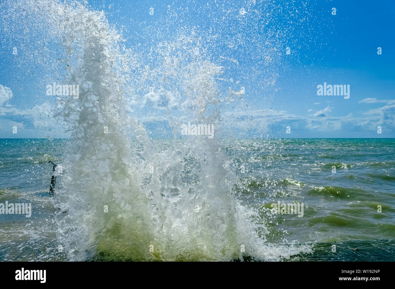 Splashing wave on the Black sea in the day Stock Photo - Alamy
