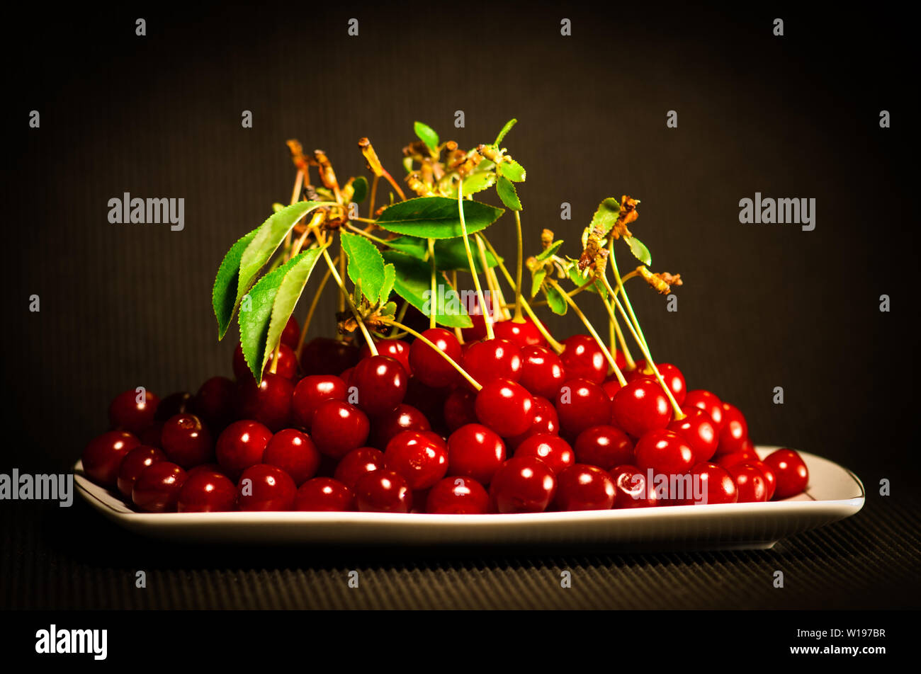 Healthy Organic Sour Cherries Stock Photo