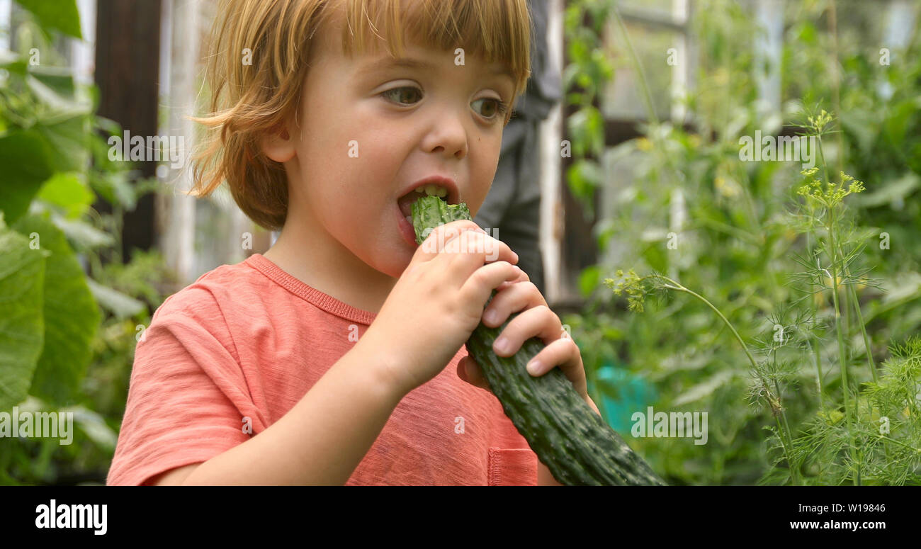 Cute little kid eating a cucumber in the garden Stock Photo