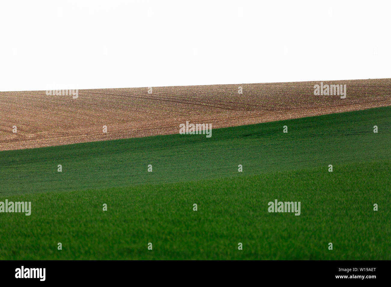 Farmland in Norfolk. Stock Photo