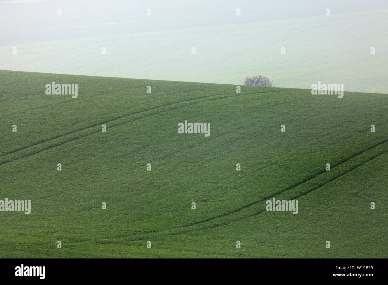Farmland in Norfolk. Stock Photo