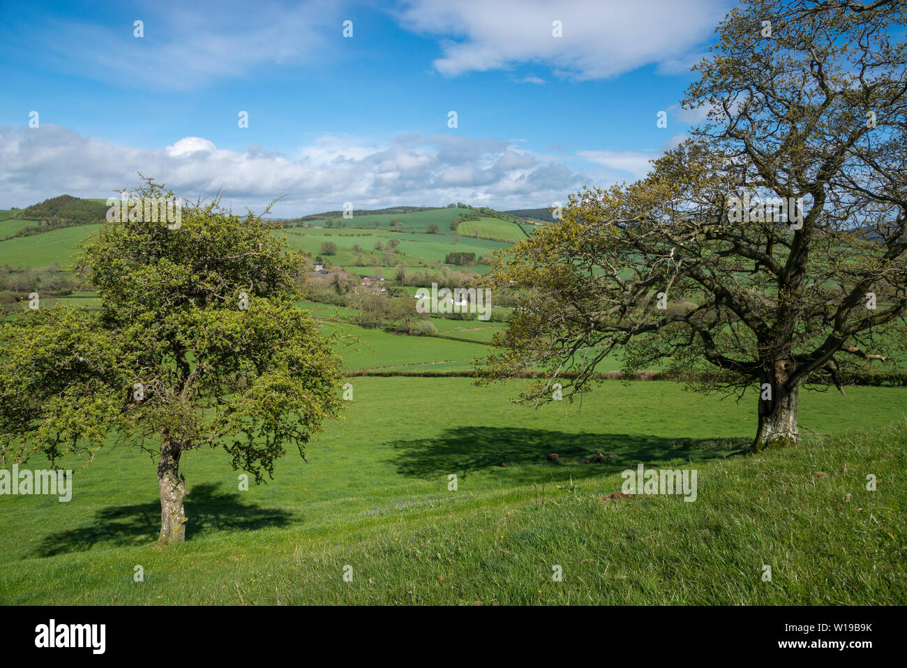 Beautiful Shropshire countryside around the area of Clun on a sunny day in late spring. Stock Photo