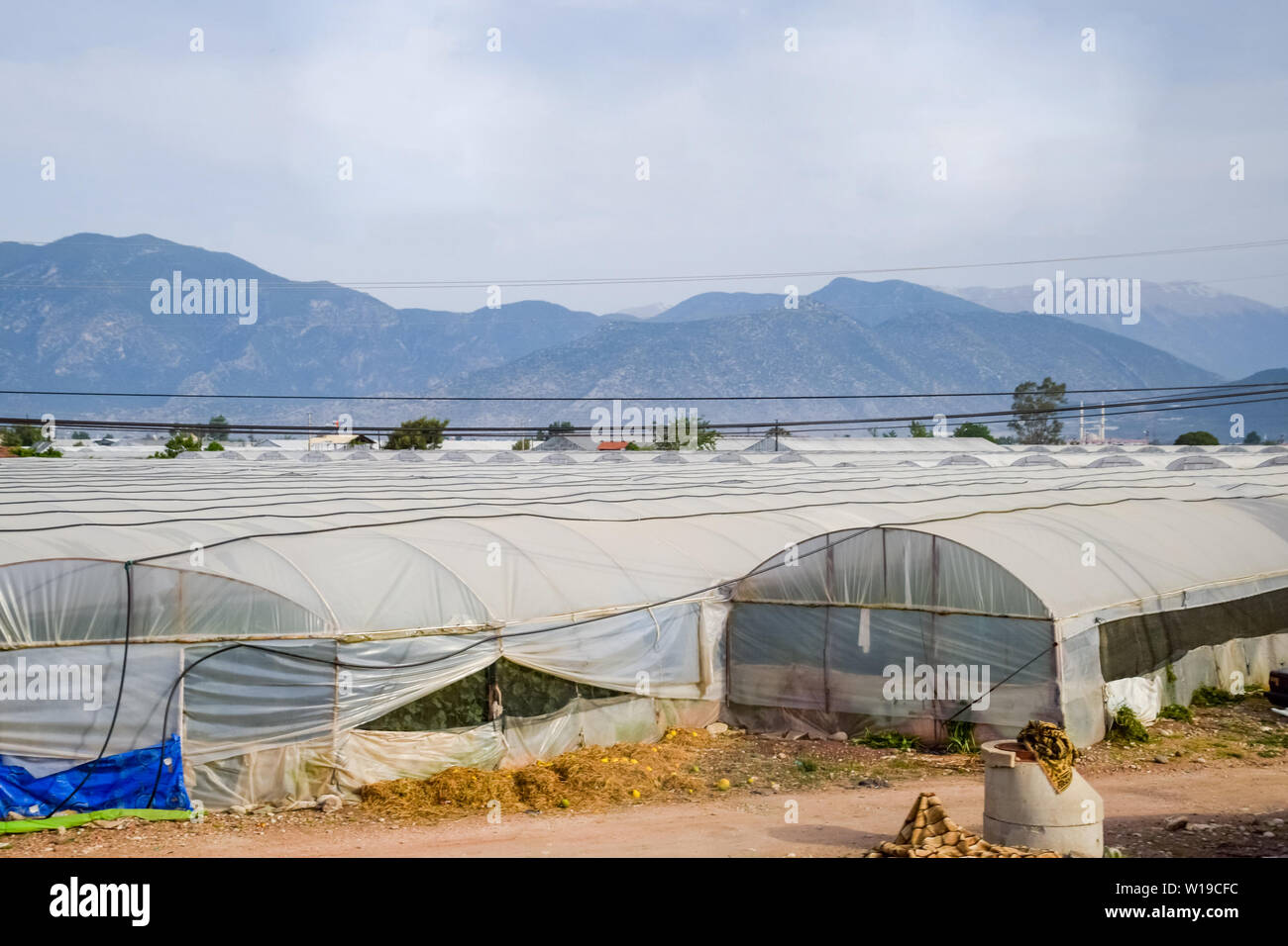 теплицы в турции