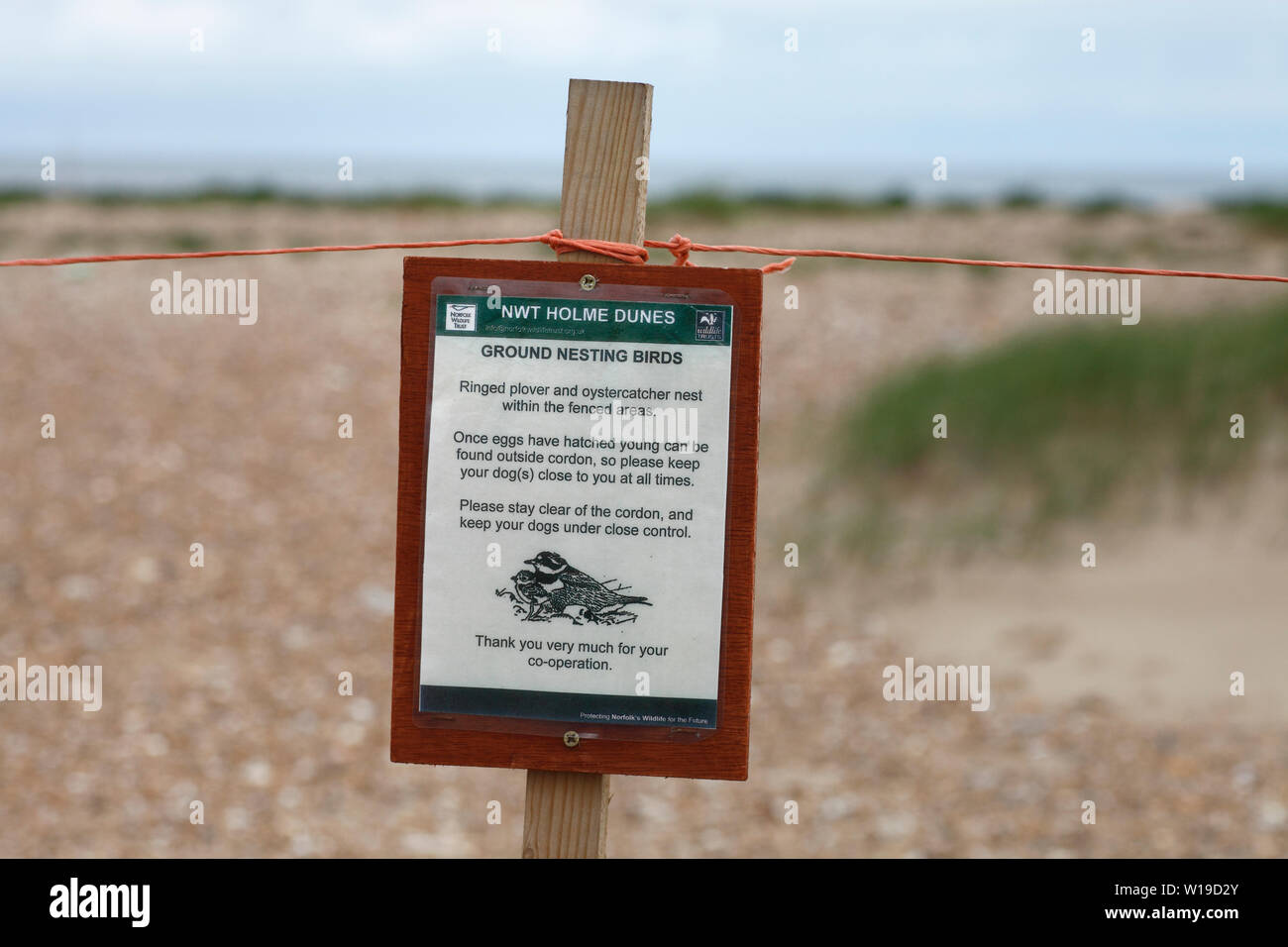 Sign warning of bird nesting area at Holme dunes on the Norfolk coast. Stock Photo