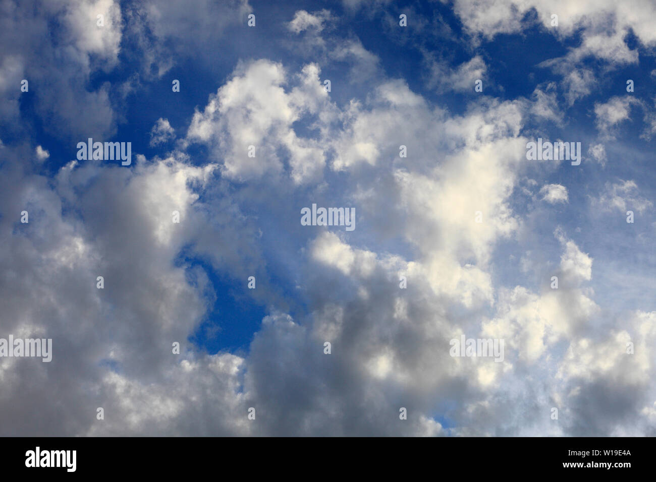 White clouds in a blue Summer sky. Stock Photo