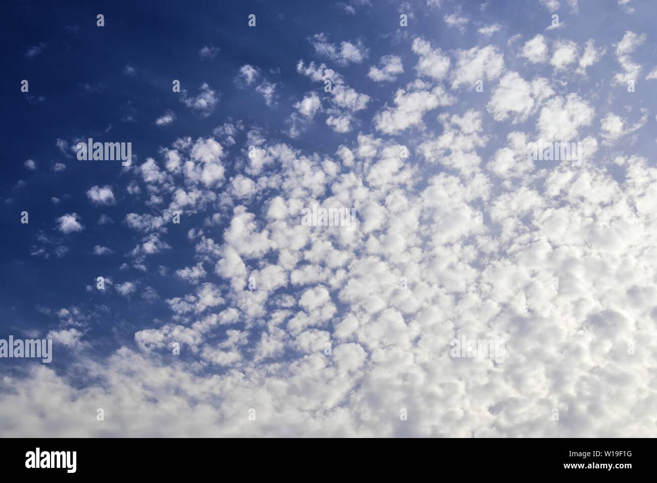 Beautiful fluffy white clouds in a deep blue sky on a summer day Stock ...