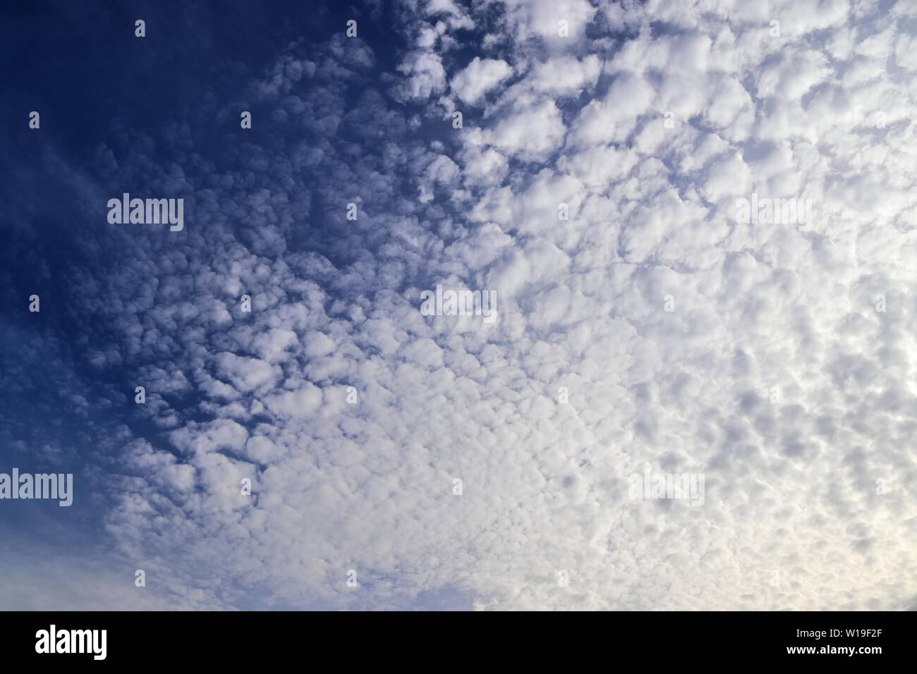 Beautiful fluffy white clouds in a deep blue sky on a summer day Stock ...