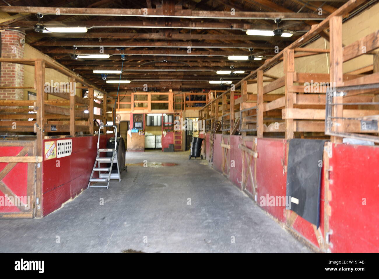 Horse And Carriage Works For Tourist Tours Fans To Cool Horses