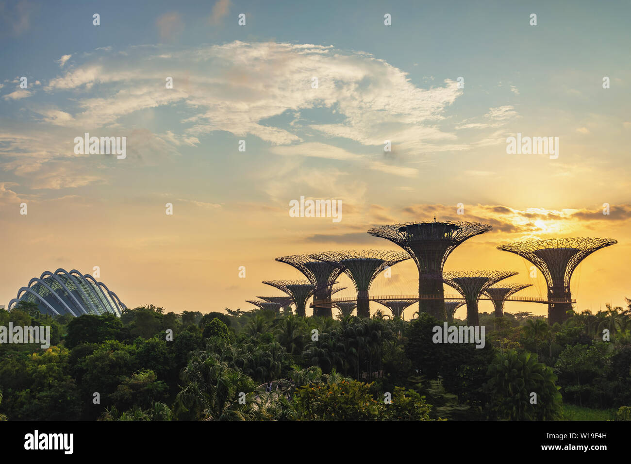 MARINA BAY, SINGAPORE - JANUARY 6, 2019 : Singapore sunrise city skyline at Gardens by The Bay Stock Photo