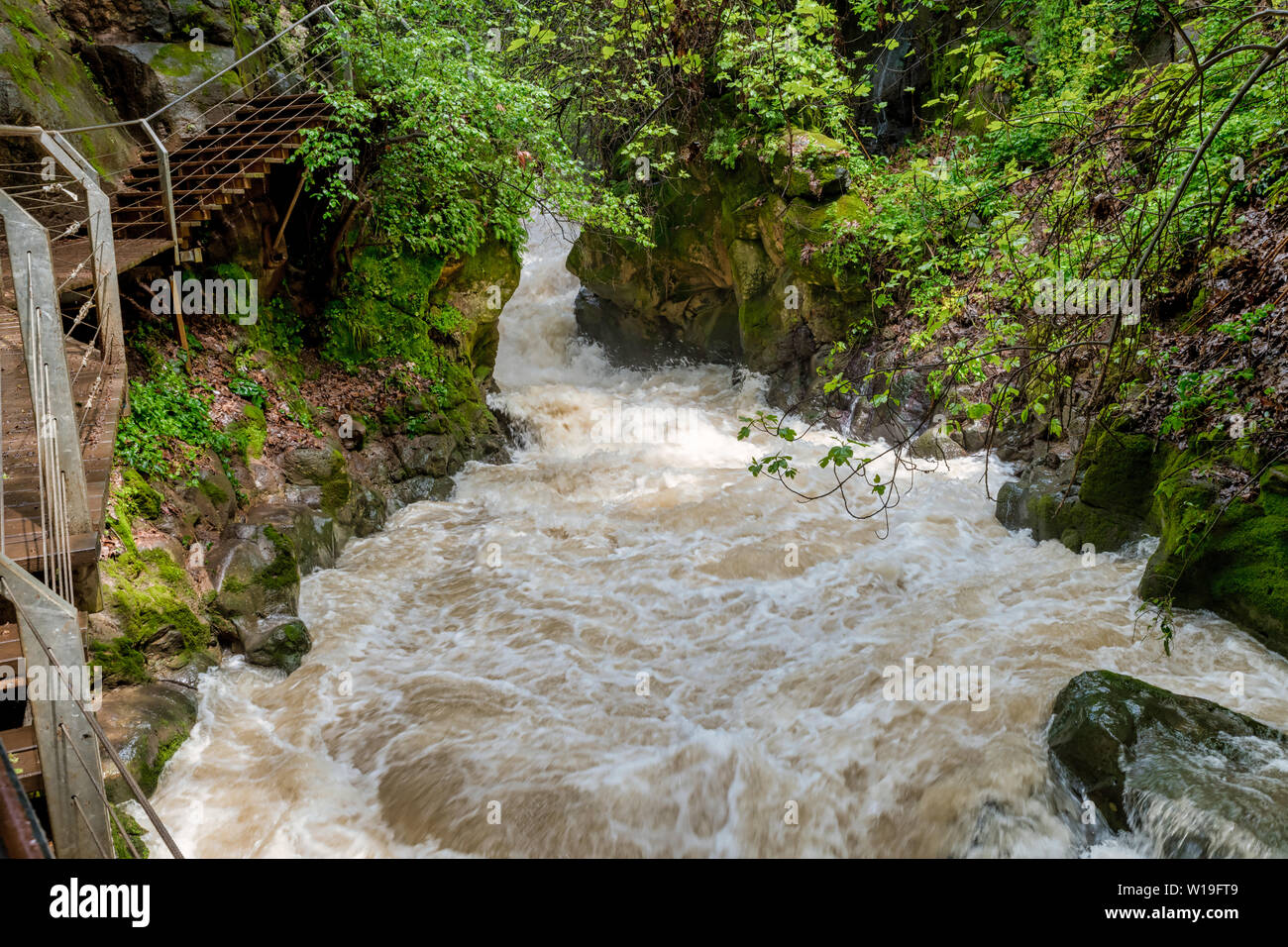 Banias river at north of Israel, flowing over rocks Stock Photo