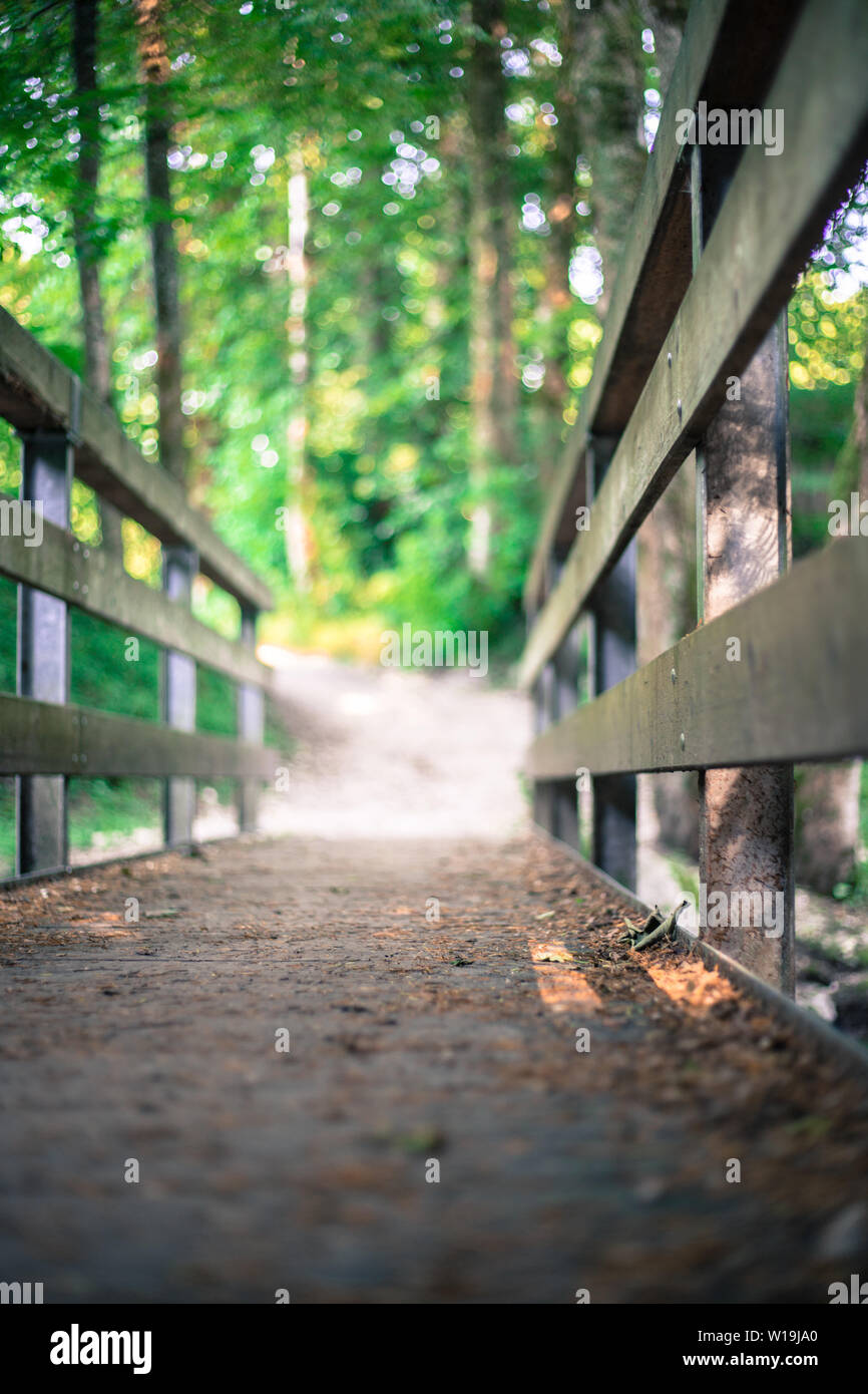 Wooden bridge in the forest, blurry background Stock Photo - Alamy