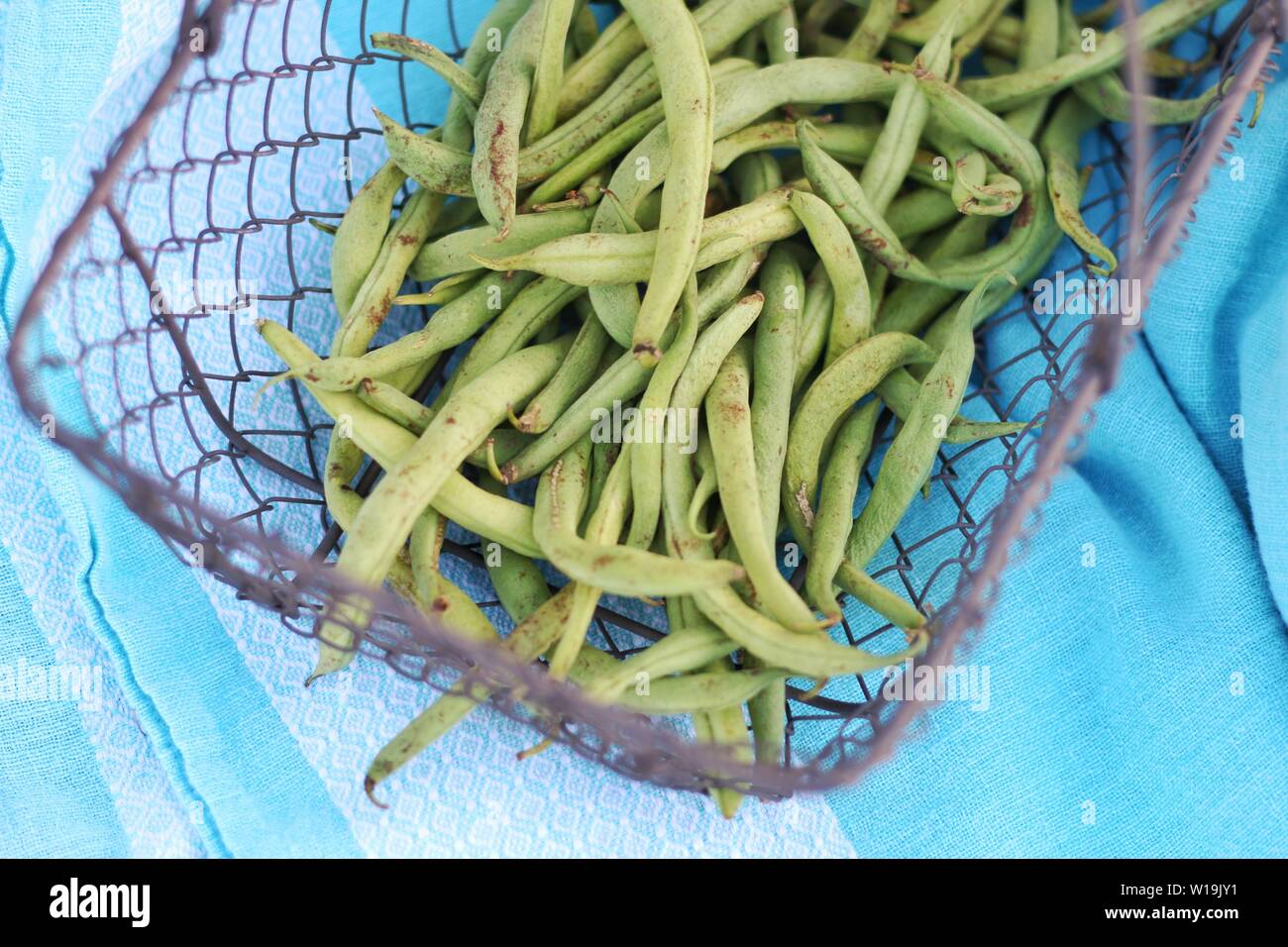 Fresh green beans in a basket Stock Photo