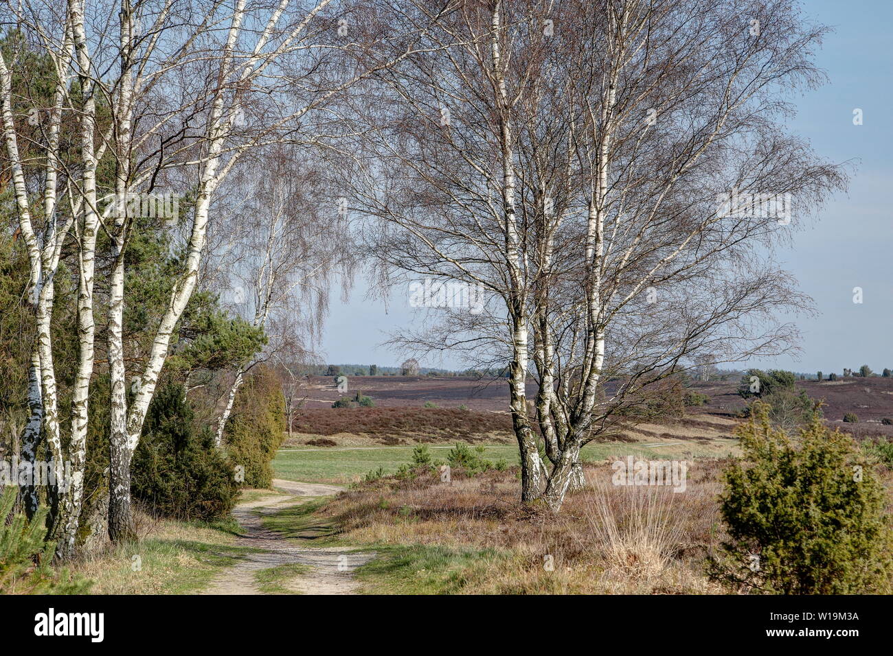 The nature reserve Lueneburg Heath is a landscape with many faces and ...