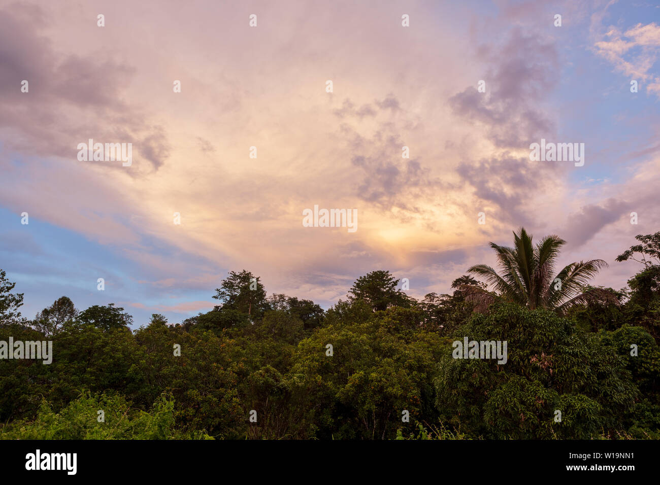 Tropical colorful vibrant sunset clouds and trees Stock Photo