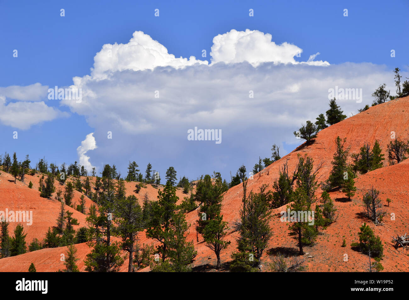 Rock formations in Southwestern Utah, USA Stock Photo