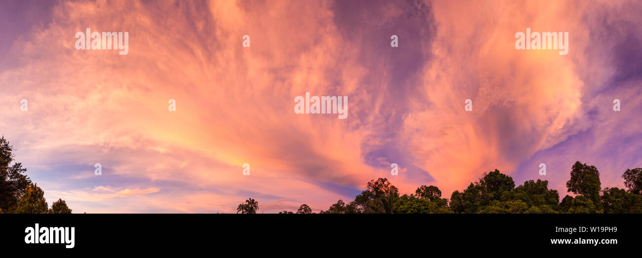 Vivid sunset clouds and trees Stock Photo