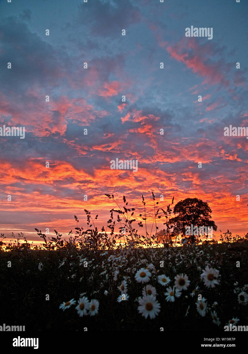 Sky on fire Stock Photo