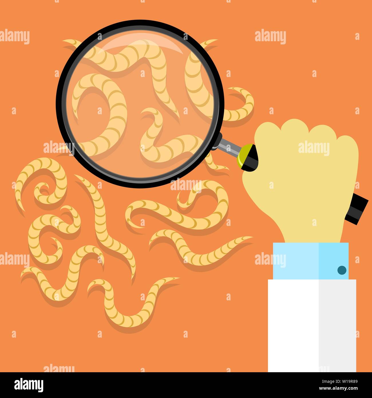 Ascarid, Helminth Pinworm Threadworm. Set of Parasite on Orange Background Stock Vector