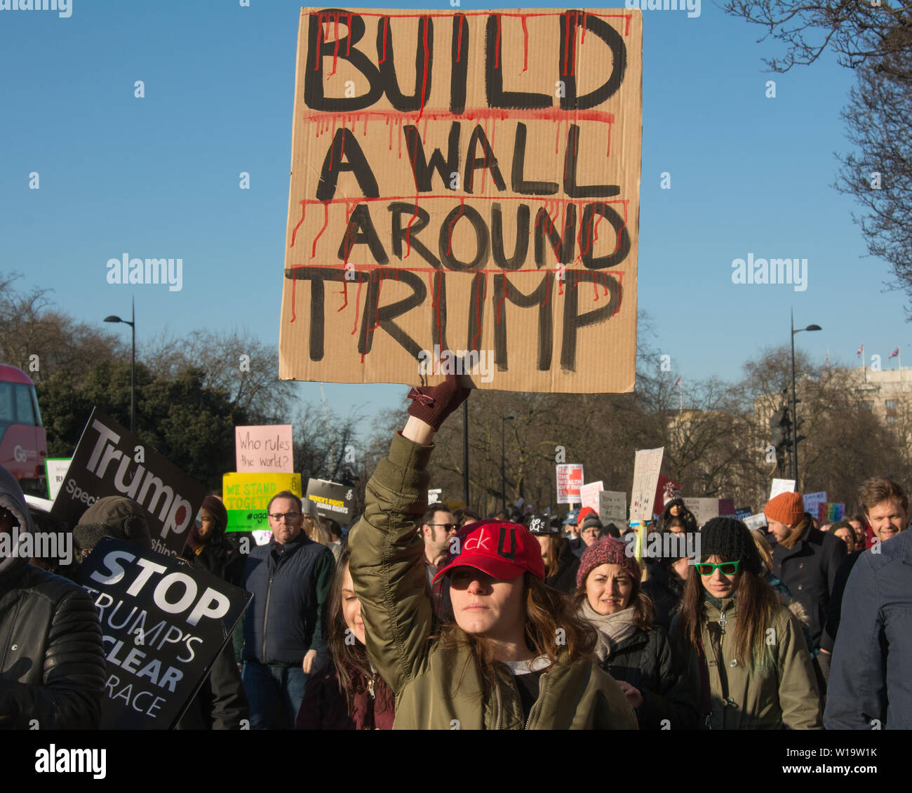 Women's March, London, UK, 21st January 2017. A woman holds a placard reading 'Build a wall around Trump' referencing his policies on immigration, the day after the inauguration of President Donald Trump. Up to 10,000 attended a protest march in London as women worldwide marked the day by demonstrating in an act of international solidarity. Many carried placards referencing statements made by Donald Trump, considered by many as anti-women or otherwise offensive. Stock Photo