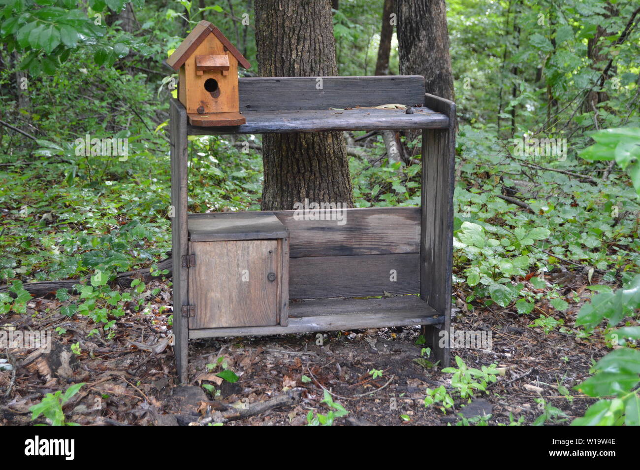 Handmade birdhouse sitting on old antique shelves outside in trees Stock Photo