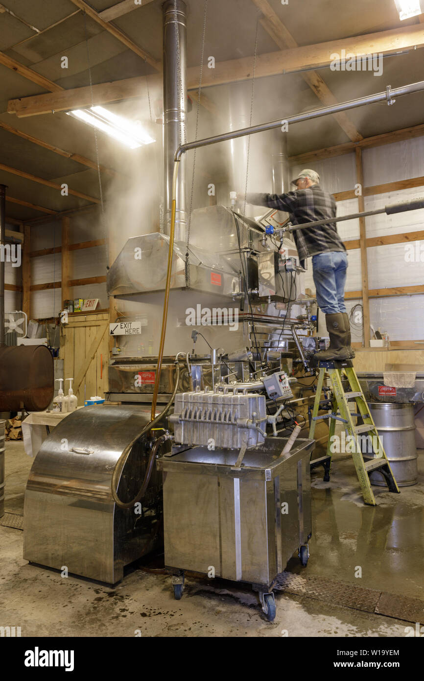 Making maple syrup in the Adirondacks of New York State Stock Photo Alamy