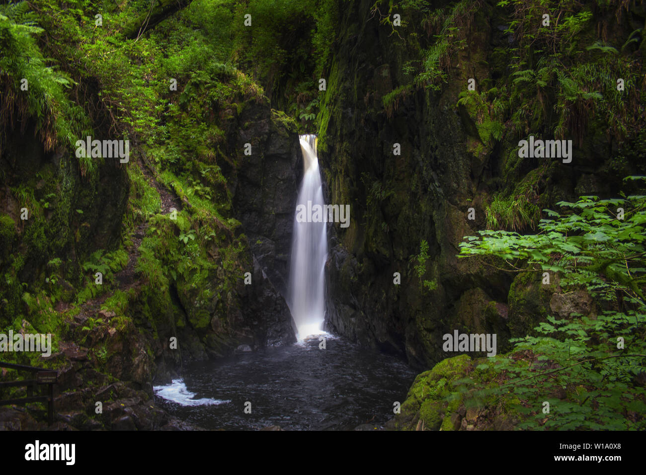 The Stanley Ghyll Force Waterfall (called also Clear Force) in an enchanted green and wild forest. Lake District National Park, Cumbria, England, UK. Stock Photo