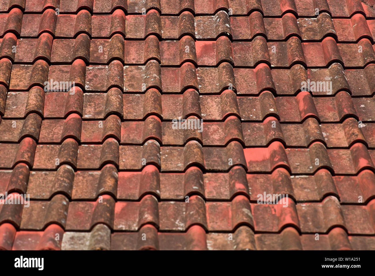 roof shingle texture