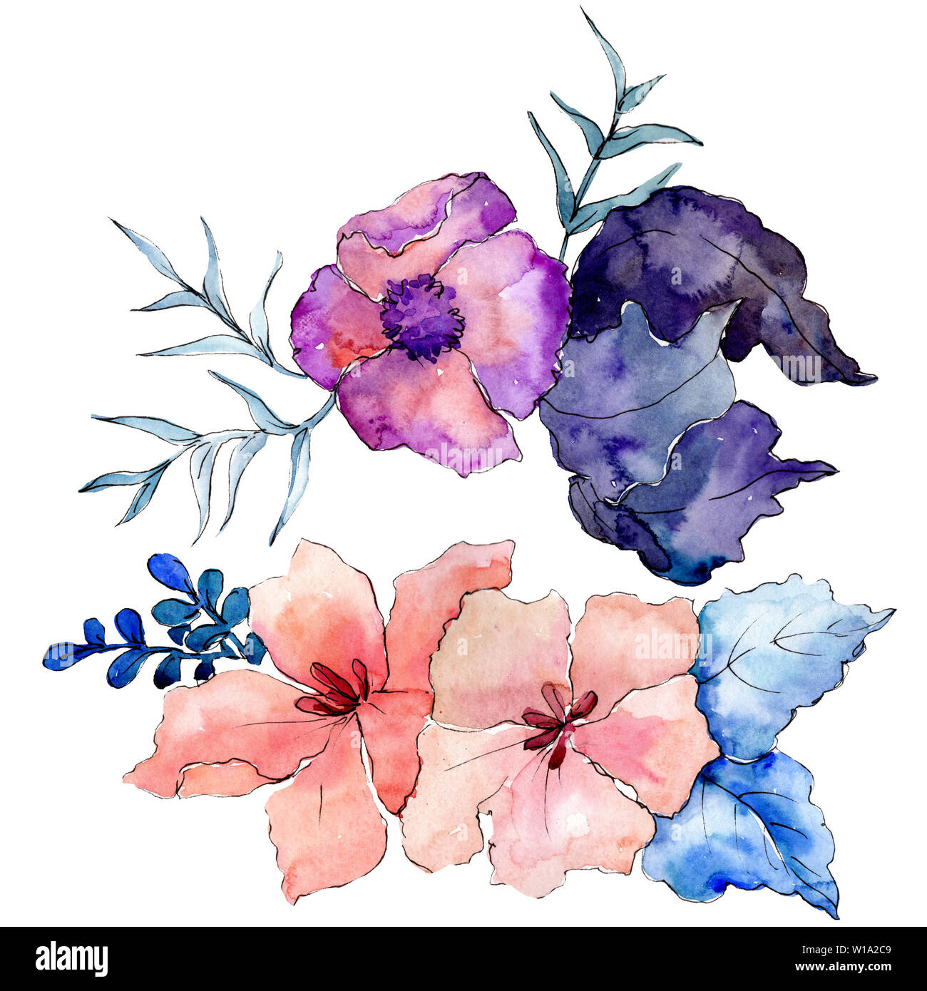 Bouquets floral botanical flowers. Watercolor background illustration ...