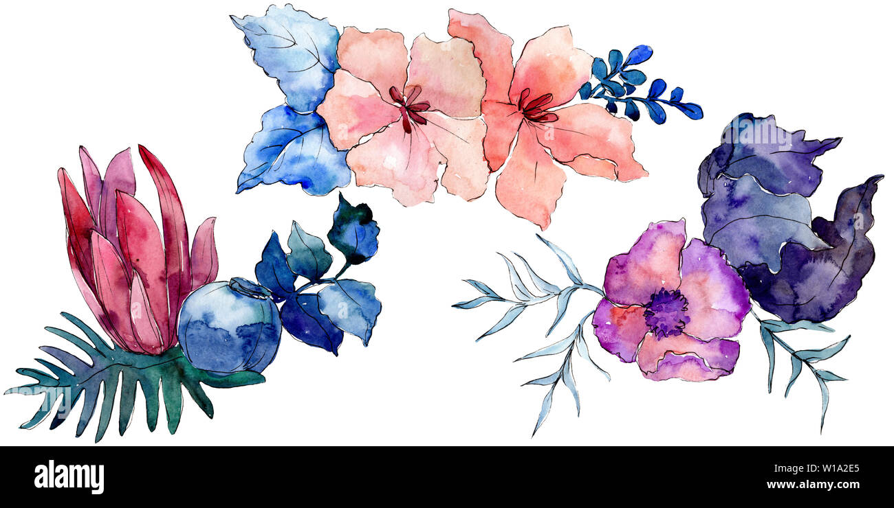 Bouquets floral botanical flowers. Watercolor background illustration ...