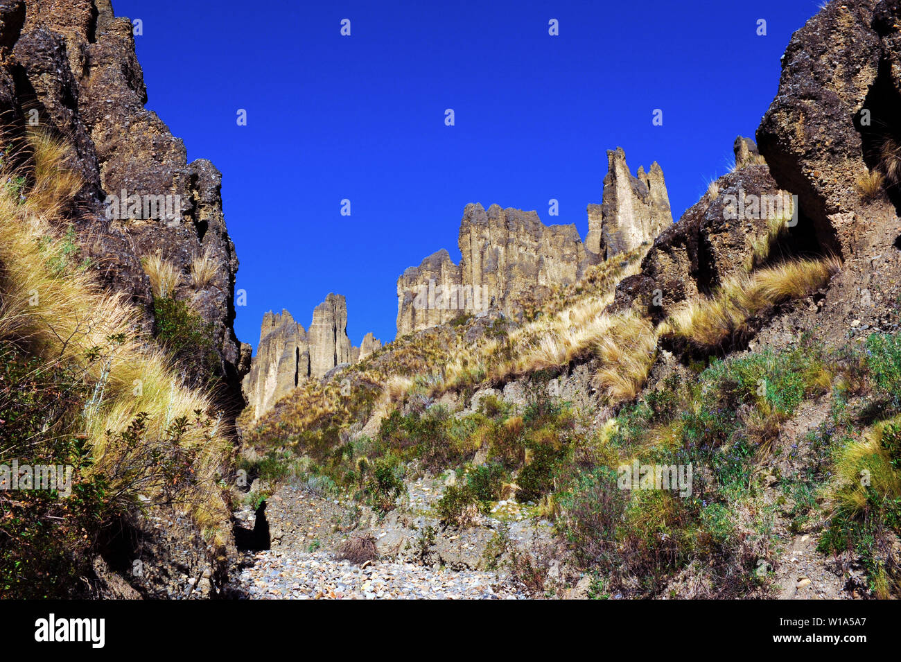 Valle De Las Animas Stock Photo Alamy