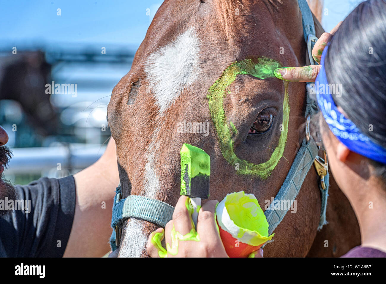 American indian horse relay hi-res stock photography and images - Alamy