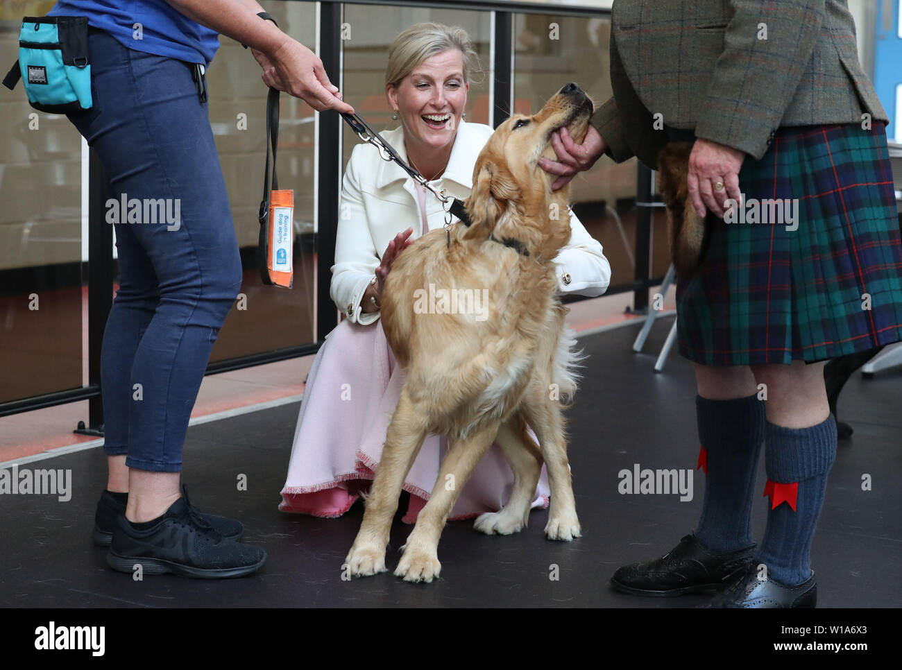 The Countess of Forfar reacts to a guide dogs interest in the Provosts ...