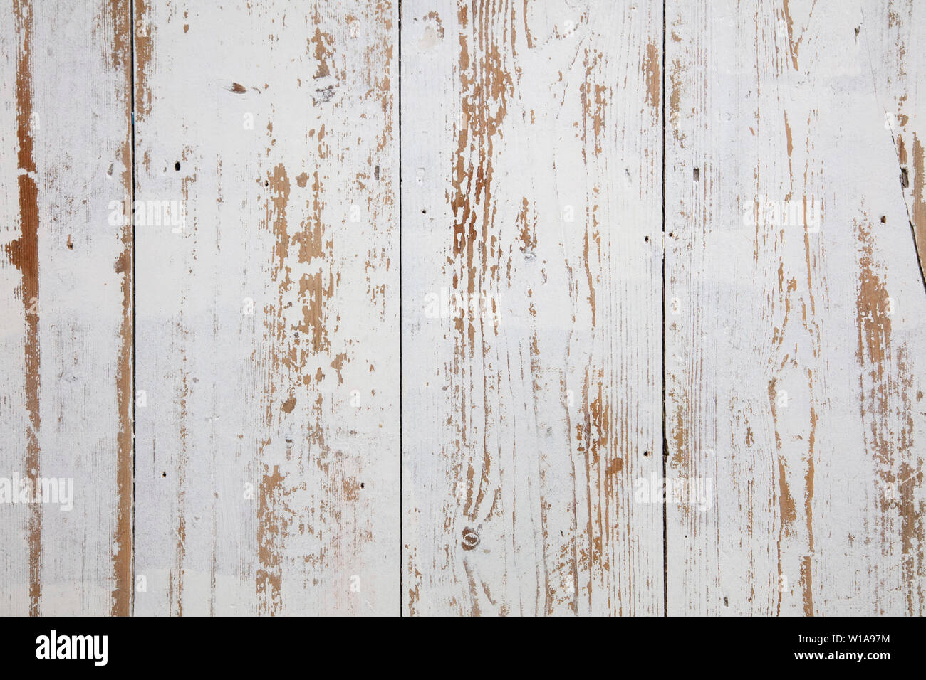 White wooden floorboards. Distressed worn floorboard background painted