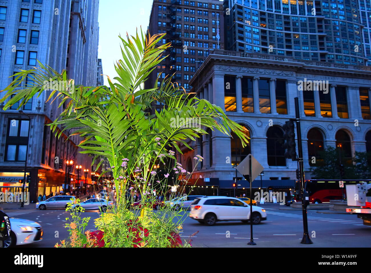 estas fotos fueron tomadas en el centro de Chicago en un bonito atardecer,,de paceo por el centro de chicago.... Stock Photo