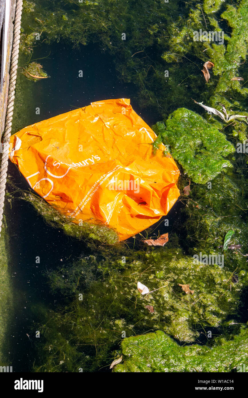 Plastic rubbish floating in the Chichester Ship Canal basin