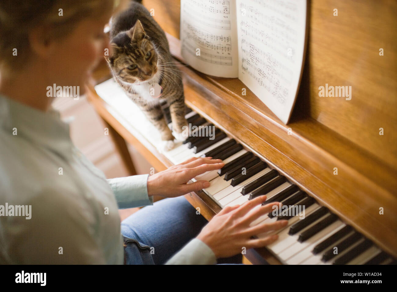 Woman playing piano with cat Stock Photo - Alamy