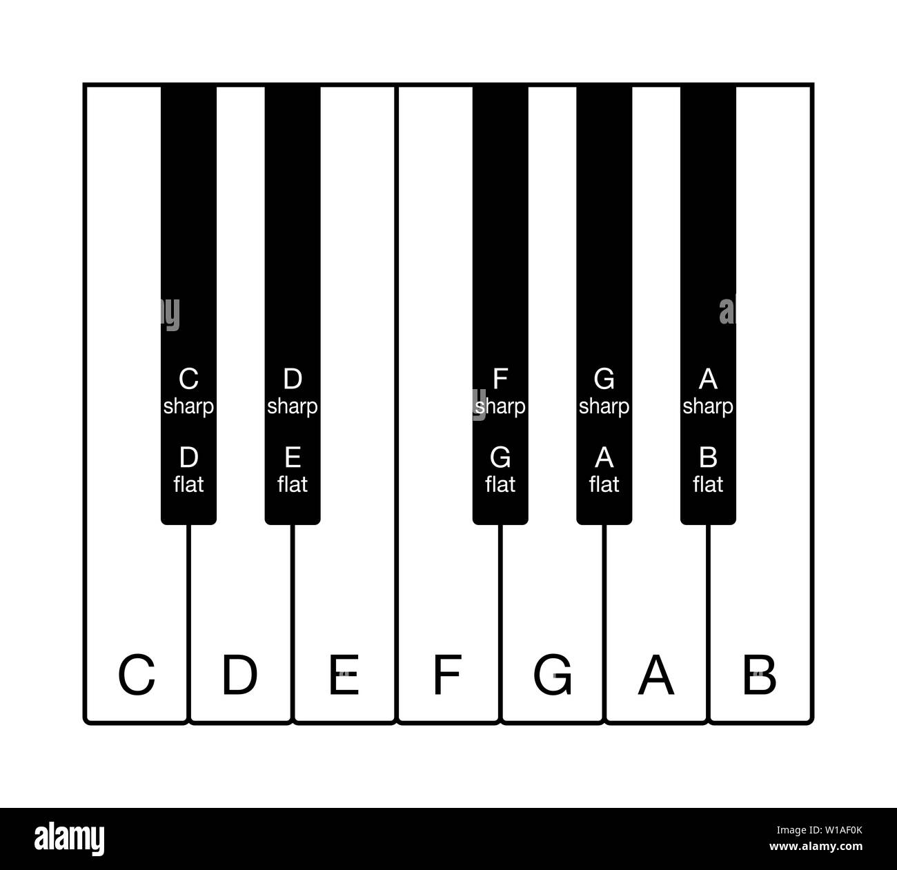 Twelve-tone chromatic scale on a keyboard. One octave of notes of the Western musical scale. Twelve keys from C to B with note names in English. Stock Photo