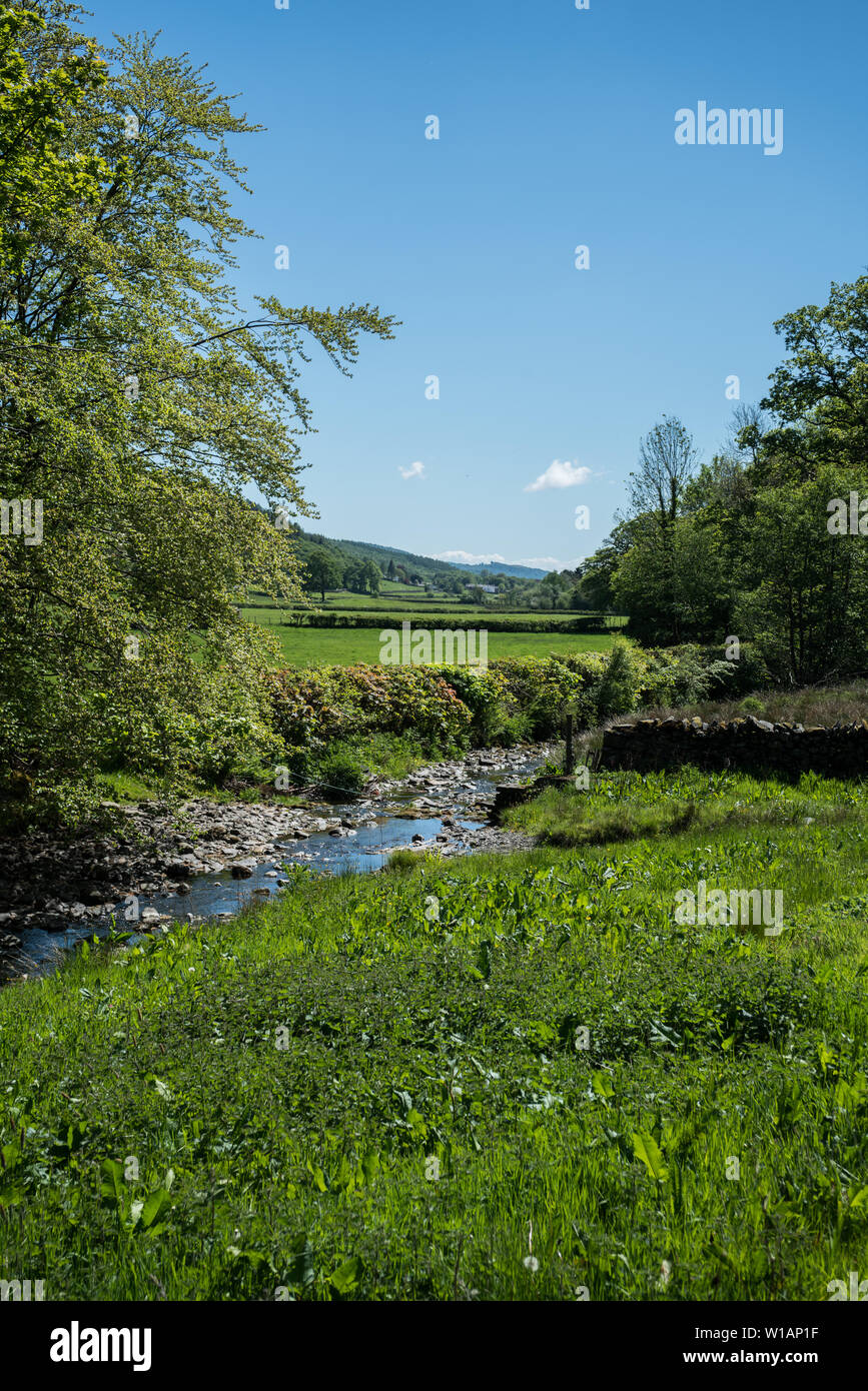 Scenic image from the area around Grizedale Forest, Lake District, Cumbria, UK. Stock Photo