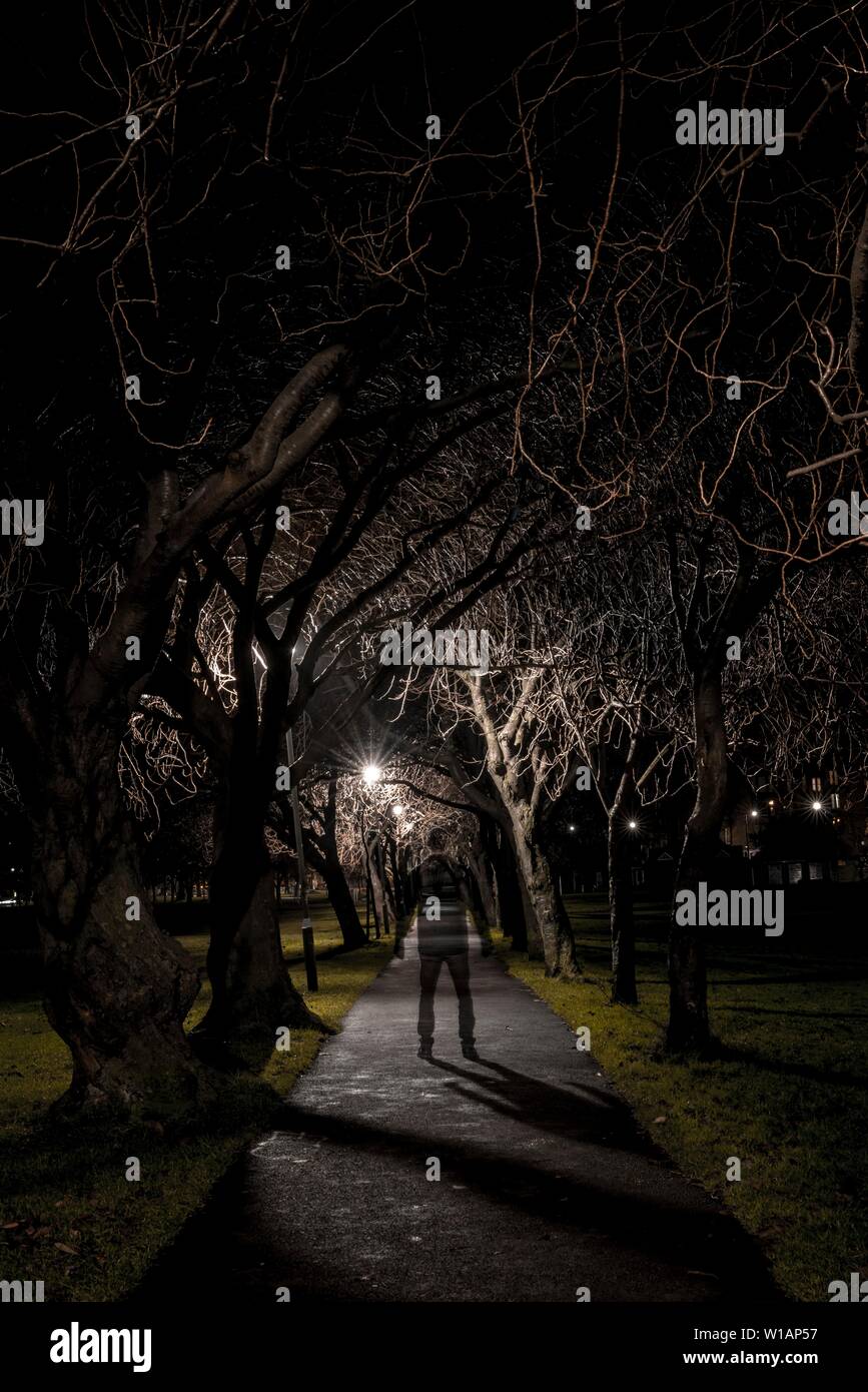 Ghostly silhouette of a dark person on a path through an avenue at night, gloomy mood, Coronation Walk in The Meadows Park, Edinburgh, Scotland Stock Photo