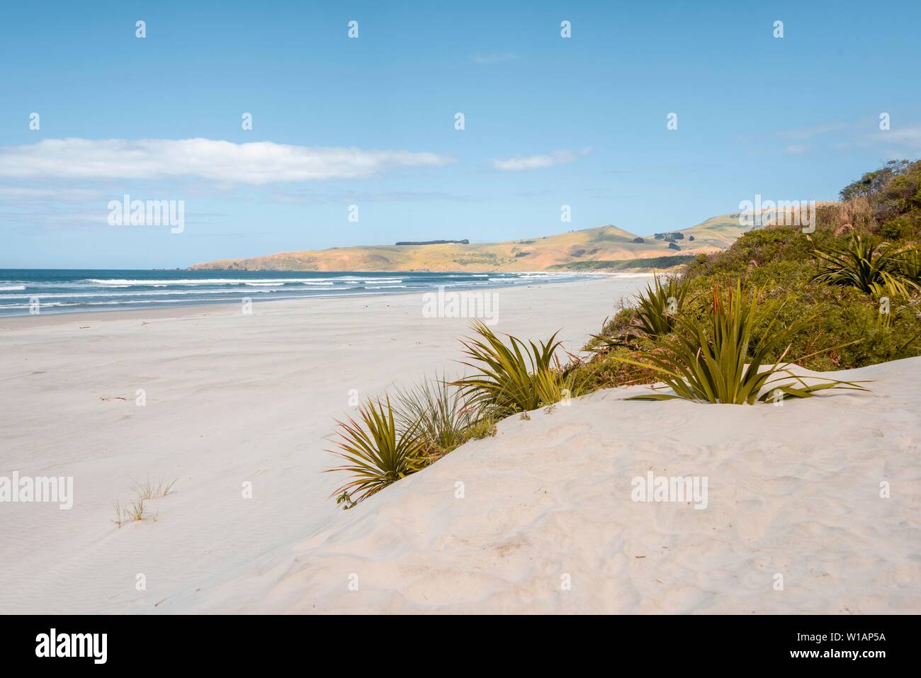 Coast with white wide sandy beach, Wickliffe Bay, Otago Peninsula, Dunedin, New Zealand Stock Photo
