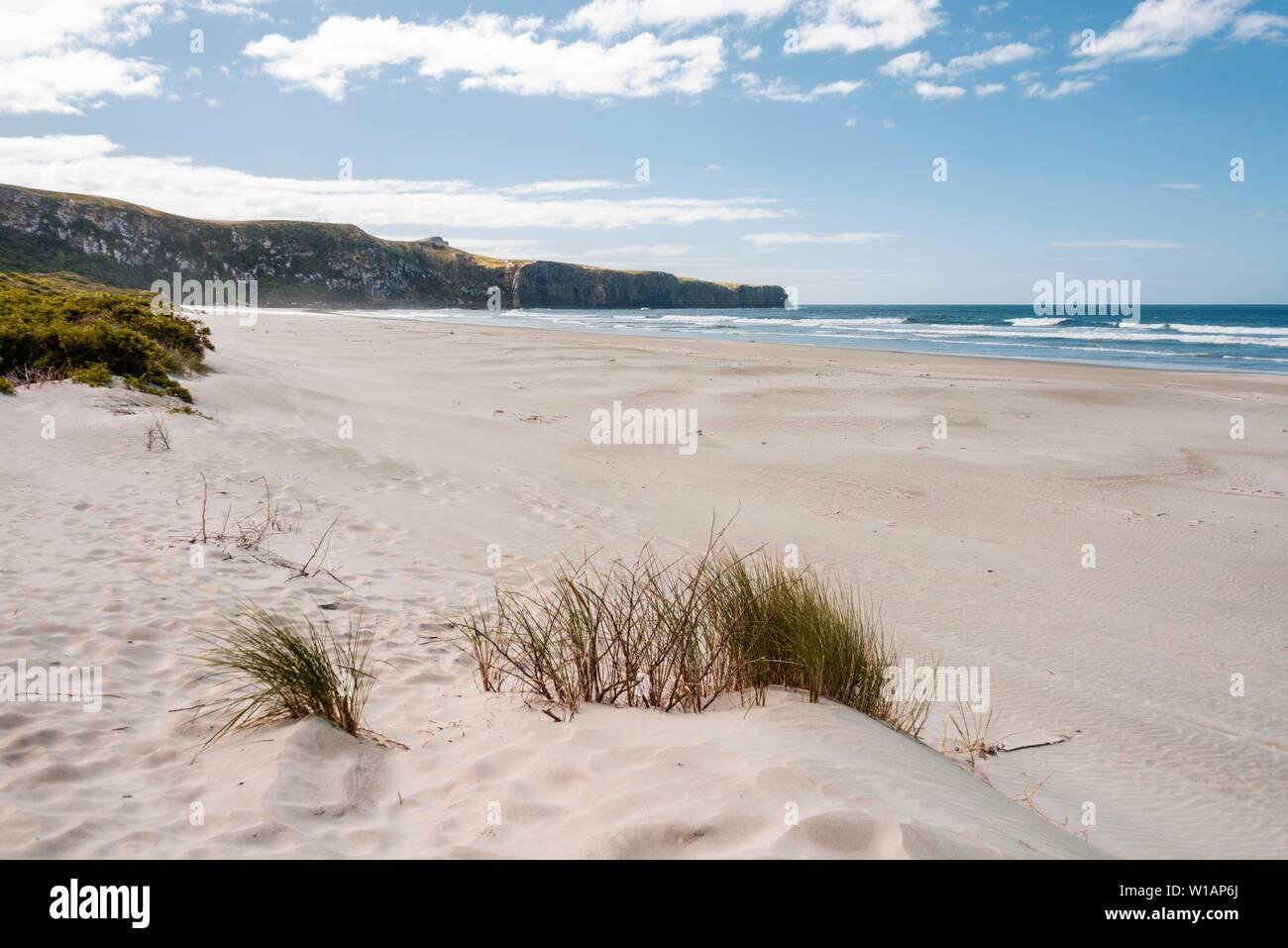 Coast with white wide sandy beach, Wickliffe Bay, Otago Peninsula, Dunedin, New Zealand Stock Photo