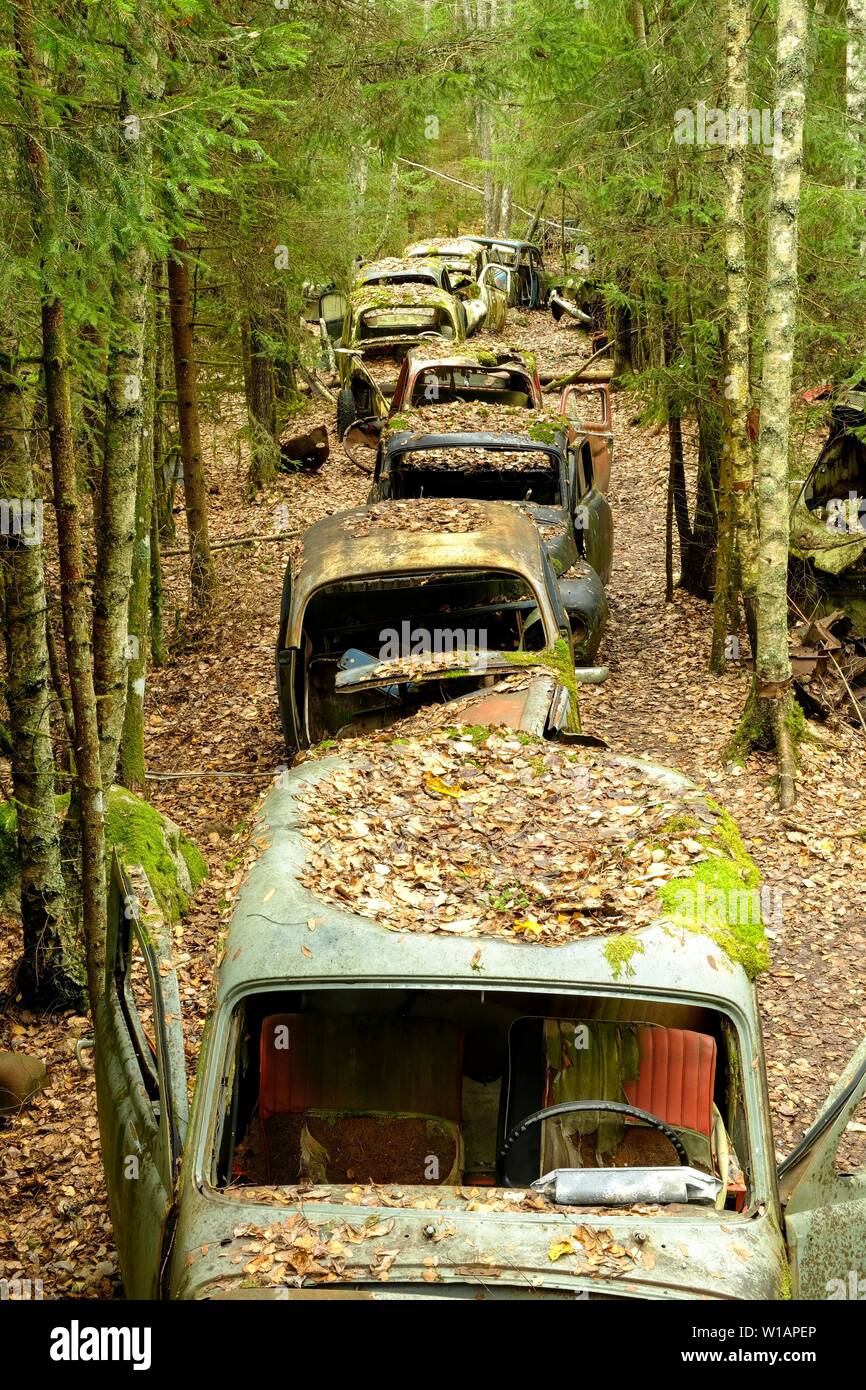 Scrap cars in a row in the forest, car scrap yard, Bastnas, Varmland, Sweden Stock Photo