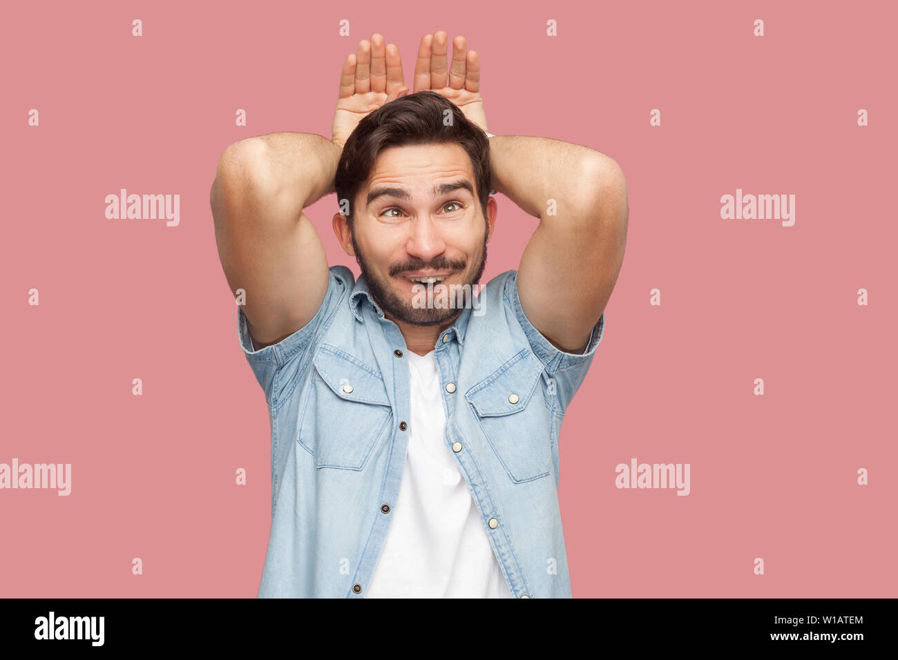 Portrait of funny crazy handsome bearded young man in blue casual style shirt standing bunny hands gesture on head and looking. indoor studio shot, is Stock Photo