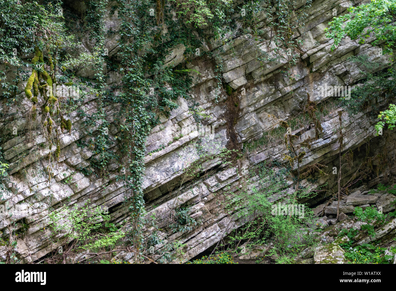 Rock of layered stone overgrown with grass and moss. The texture of ...