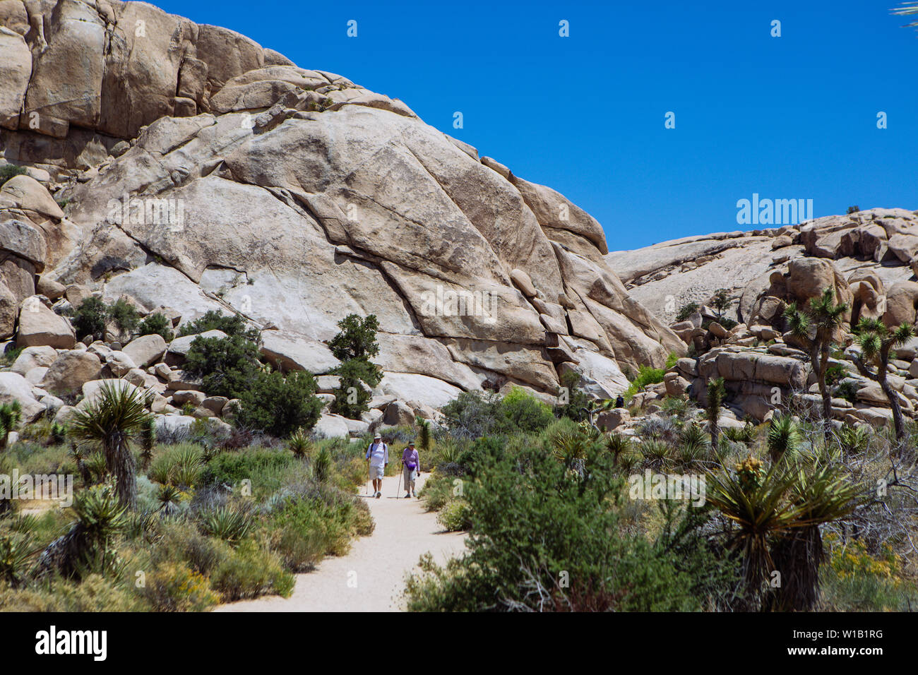 A couple of tourists walking a trail in Joshua Tree National Park, California, USA Stock Photo