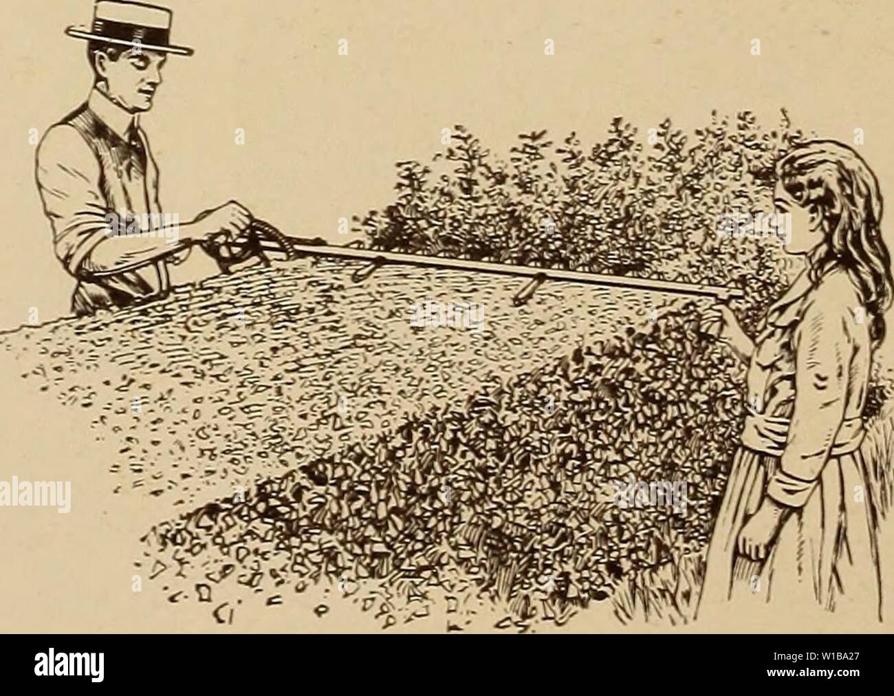 Archive image from page 35 of Descriptive catalog fall 1922