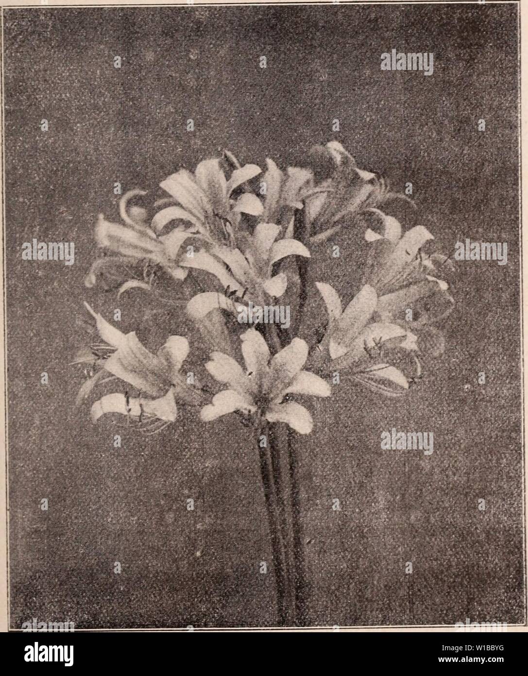 Download Work Catalogue High Resolution Stock Photography And Images Alamy PSD Mockup Templates